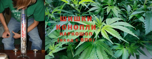 бутират Арсеньев